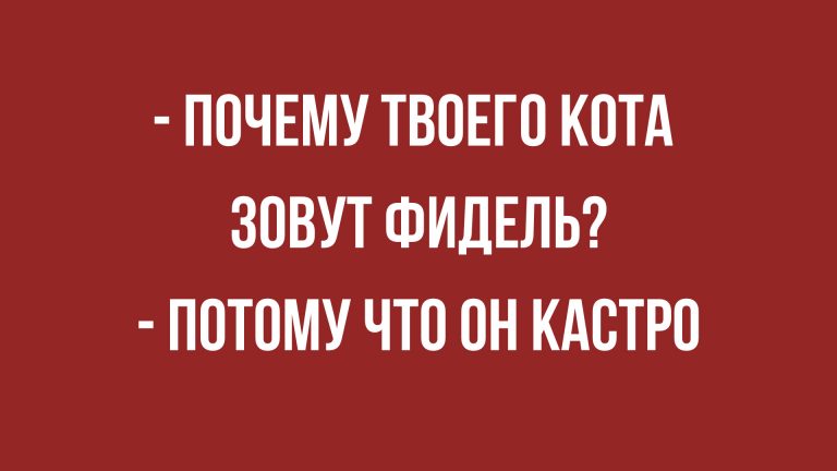 Лучшие анекдоты за неделю и юмор на выходные