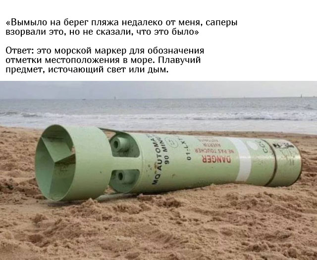 Люди спрашивают у пользователей сети: «Что это такое?»