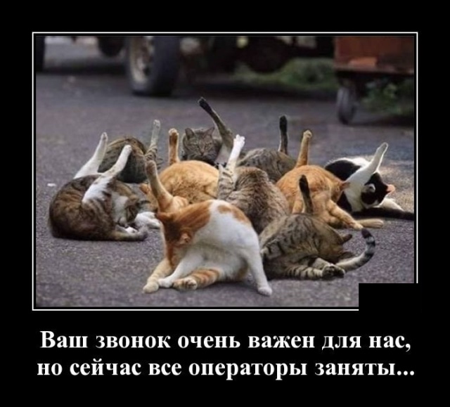 Новенькие демотиваторы в середине недели