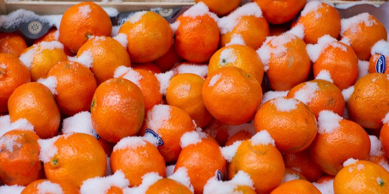 Диетологи определили безопасную ежедневную порцию мандаринов