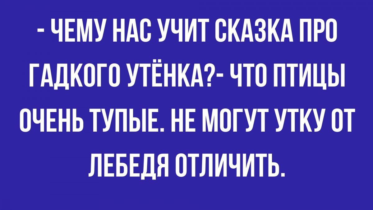 приколы и мемы