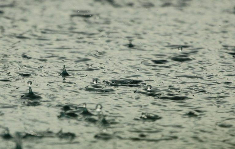 Погода на воскресенье: моросящий дождь и слабый ветер