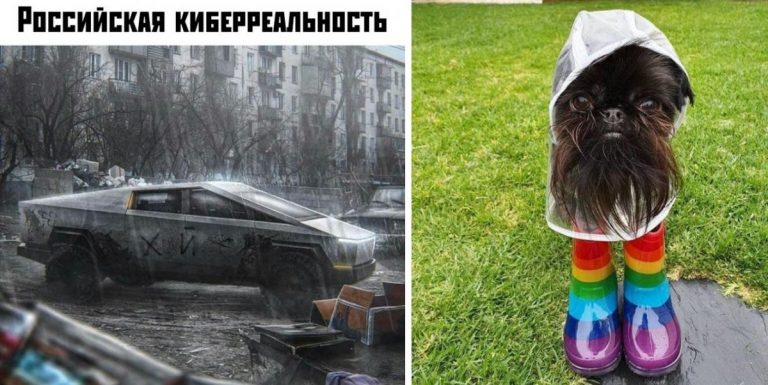 Прикольные картинки для настроения