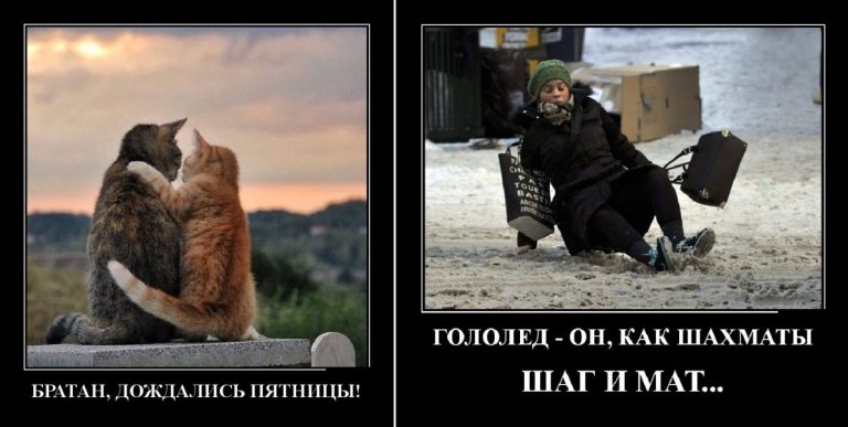Демотиваторы от 30 ноября