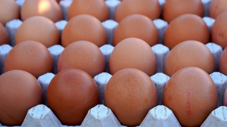 Мужчина решил на спор съесть 50 яиц и умер