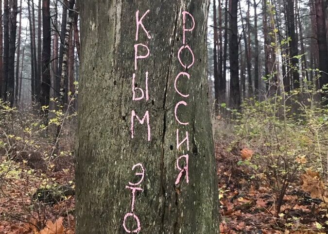 Месть за памятник в Пардаугаве? Неизвестные «осквернили» дерево в Этнографическом музее