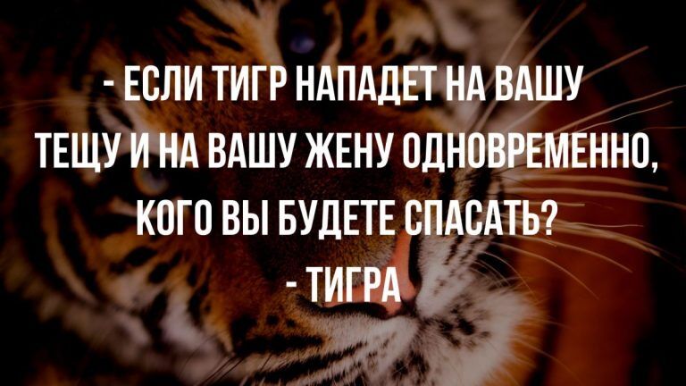 прикольные анекдоты 2019 года