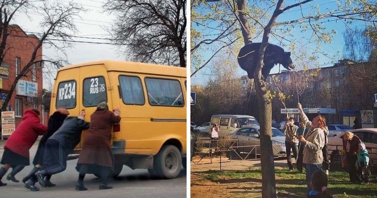 15 необычных и колоритных примеров, почему “умом Россию не понять”