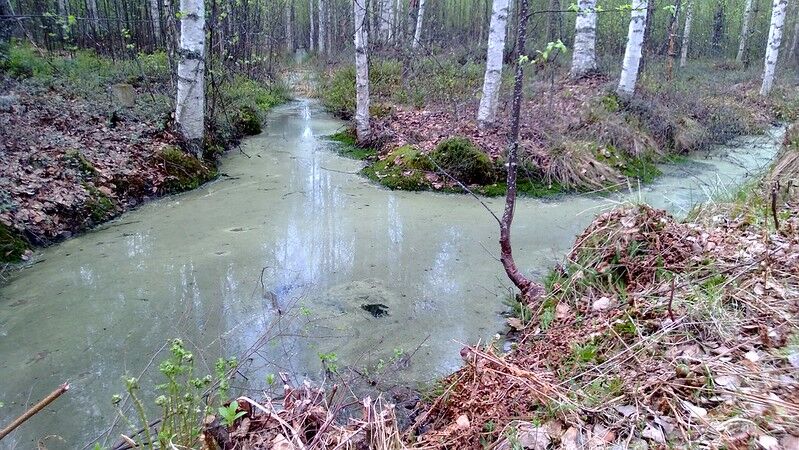 Спасатели вытащили труп из канавы в Кулдиге