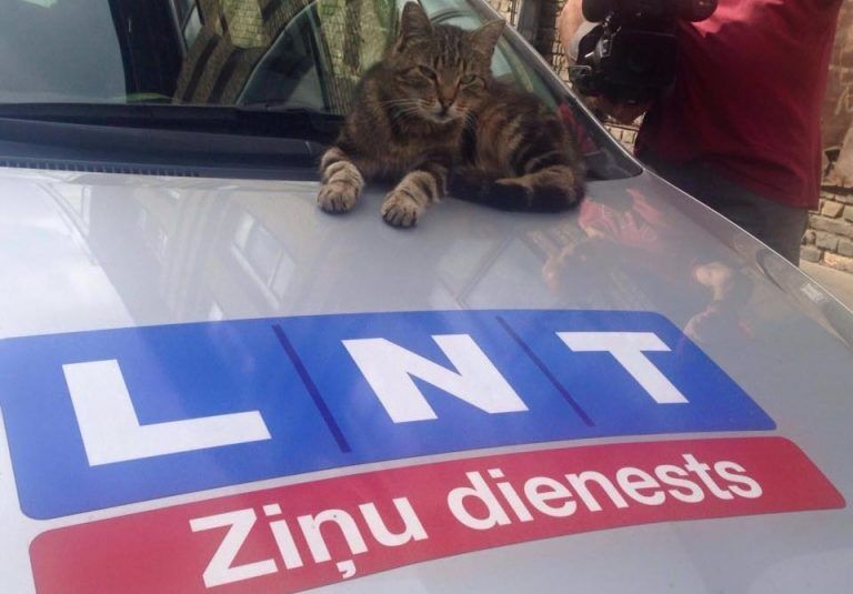 «RIP! Остались сплошные пропагандисты»: латвийцы прощаются с телеканалом LNT