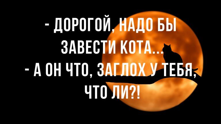 Смешные анекдоты и острый юмор в пятницу