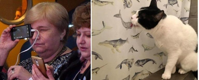 20 смешных случаев когда победило фиаско