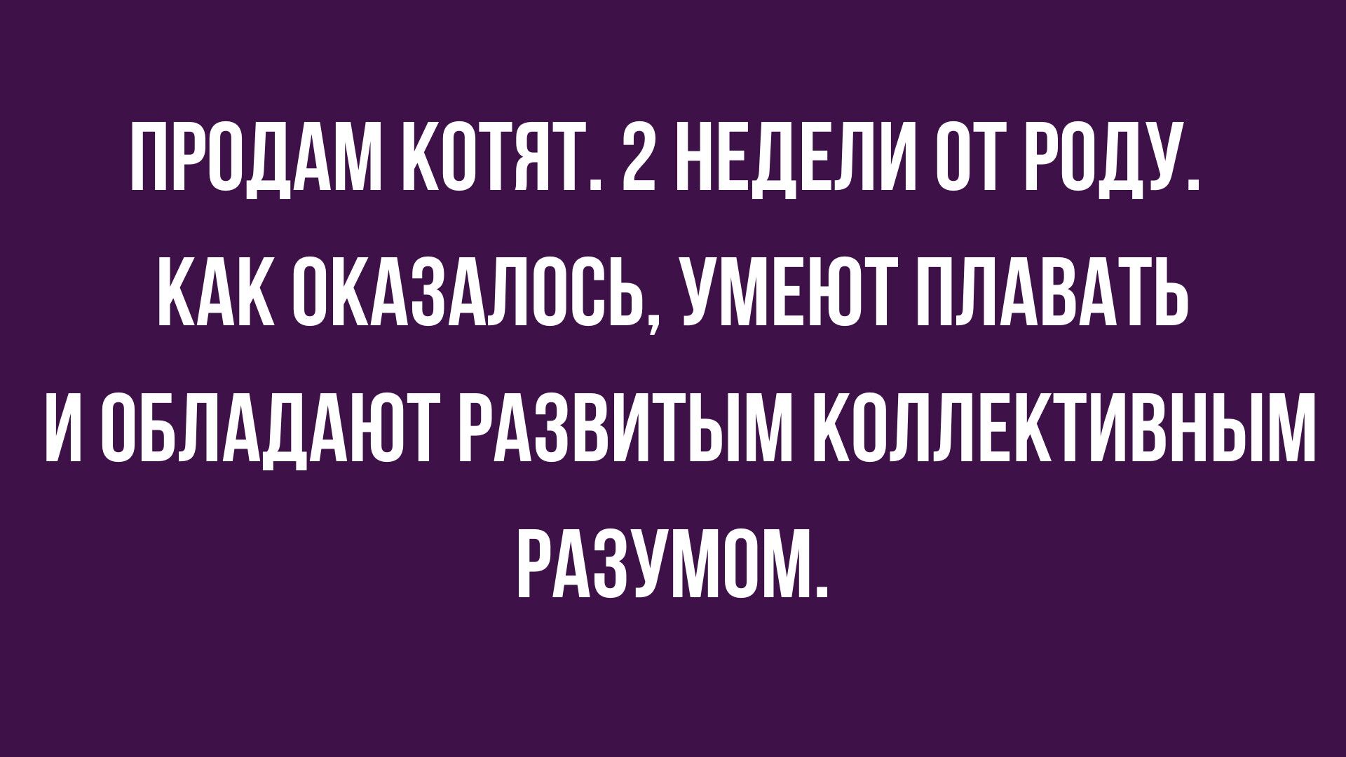 анекдоты в картинках