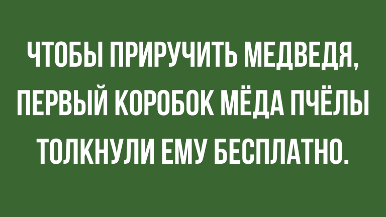 Подборка лучших анекдотов и юмора про животных