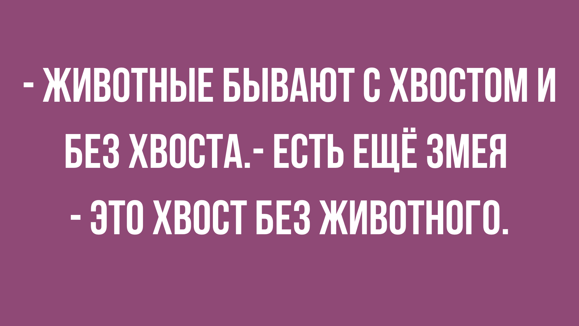 анекдоты и юмор про животных