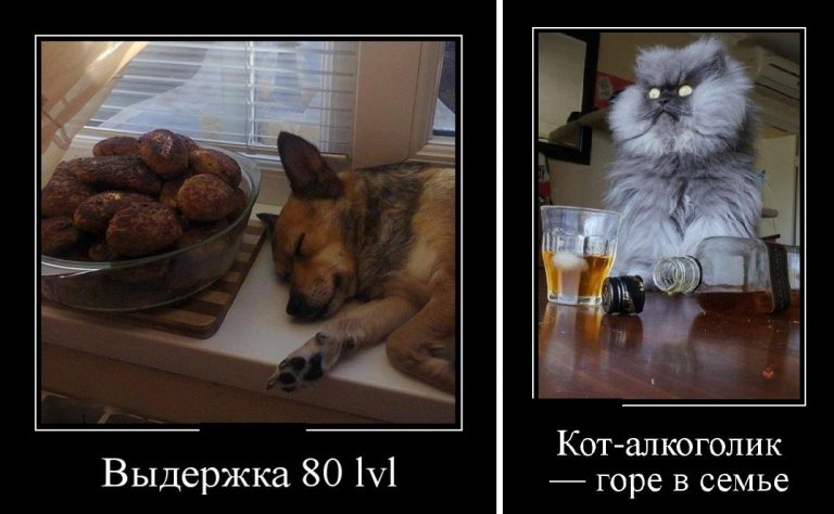 Демотиваторы в конце недели