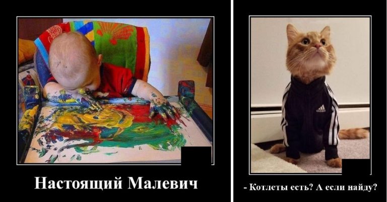 Демотиваторы дня и Малевич