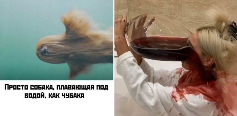 Прикольные картинки с надписями и чубака