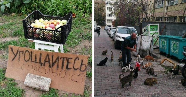 16 людей с большой буквы, которые вместо нытья в соцсетях засучили рукава и делают реальные дела!