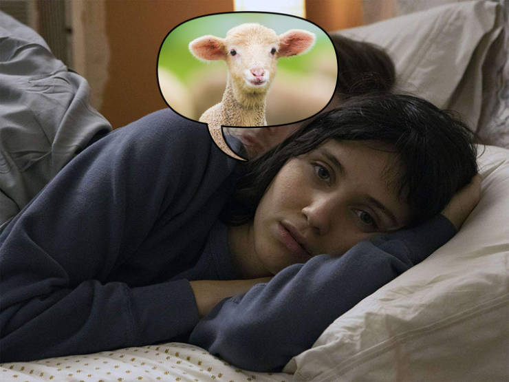 На что уходит время нашей жизни