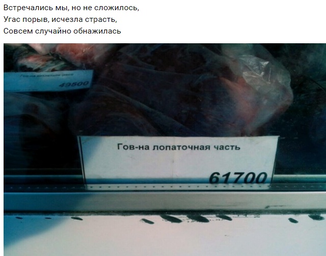 С рифмой по жизни (20 фото)