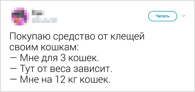 Подборка забавных твитов от девушек (19 фото)