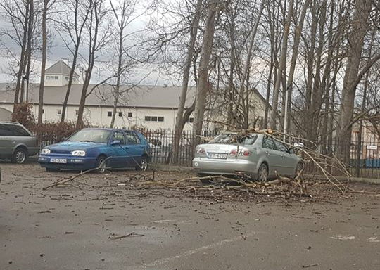 Последствия шторма: 120 вызовов спасателям, тысячи клиентов без электричества