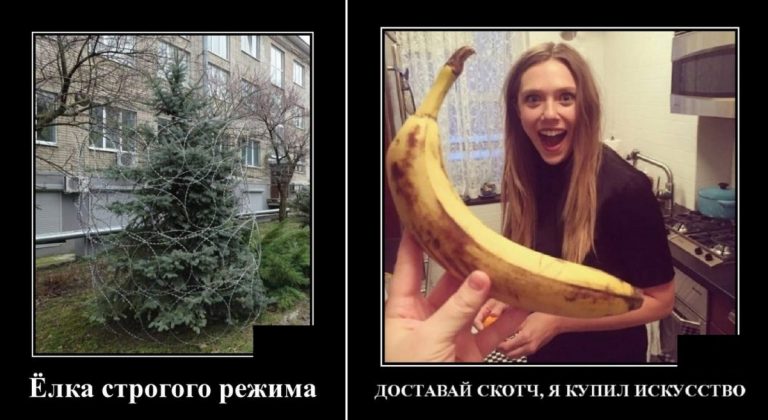 Новые демотиваторы и ёлка строго режима