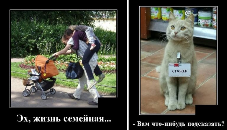 Смешные демотиваторы и семейная жизнь