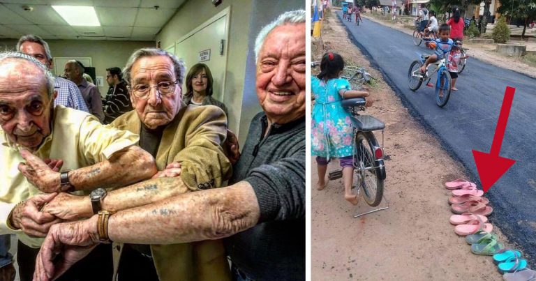 15 фотографий, на которых изображена сама жизнь как она есть