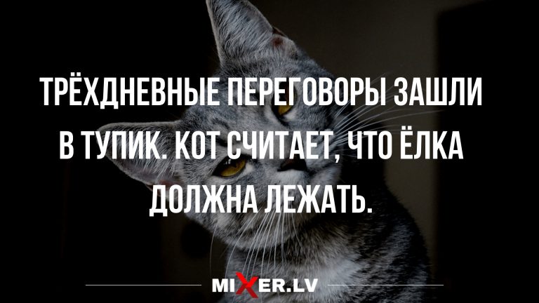 лучшие анекдоты и юмор после выходных