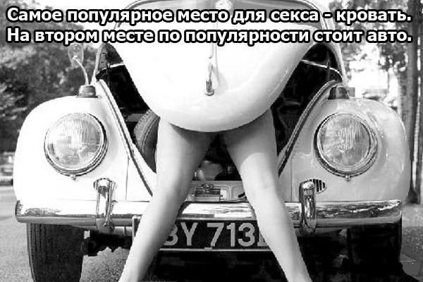 Интересные и удивительные факты «про это»