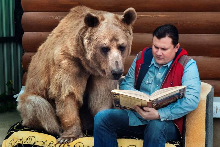 Ежедневная подборка смешных, веселых, позитивных фотографий и медведь-читатель