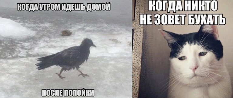 Пост алкогольного юмора и приколов в пятницу