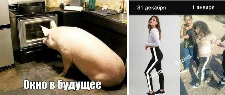 Прикольные картинки с надписями и окно в будущее