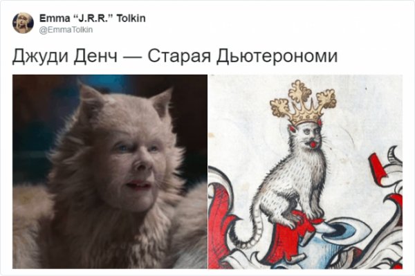 В Твиттере сравнили котиков со средневековых картин и персонажей фильма «Кошки»