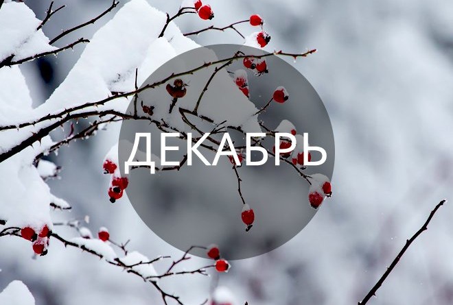 Знаки Зодиака,для которых декабрь будет не самым простым месяцем