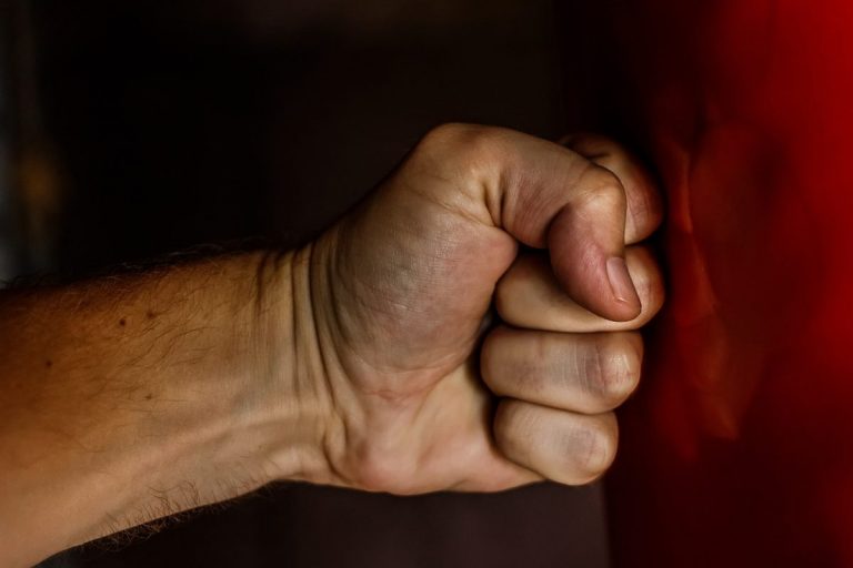 Латыш бьет русскую жену или русский — латышку? Депутат пояснил, почему не надо принимать Стамбульскую конвенцию