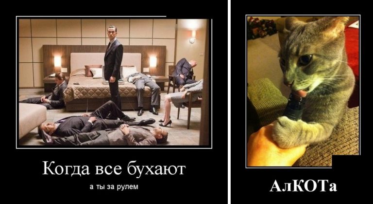 Демотиваторы и когда все бухают, а ты за рулем