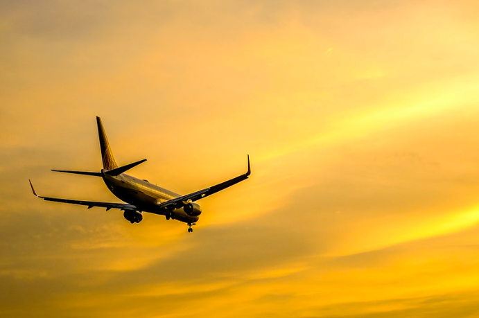Тело ребенка нашли в отсеке шасси приземлившегося в Париже самолета