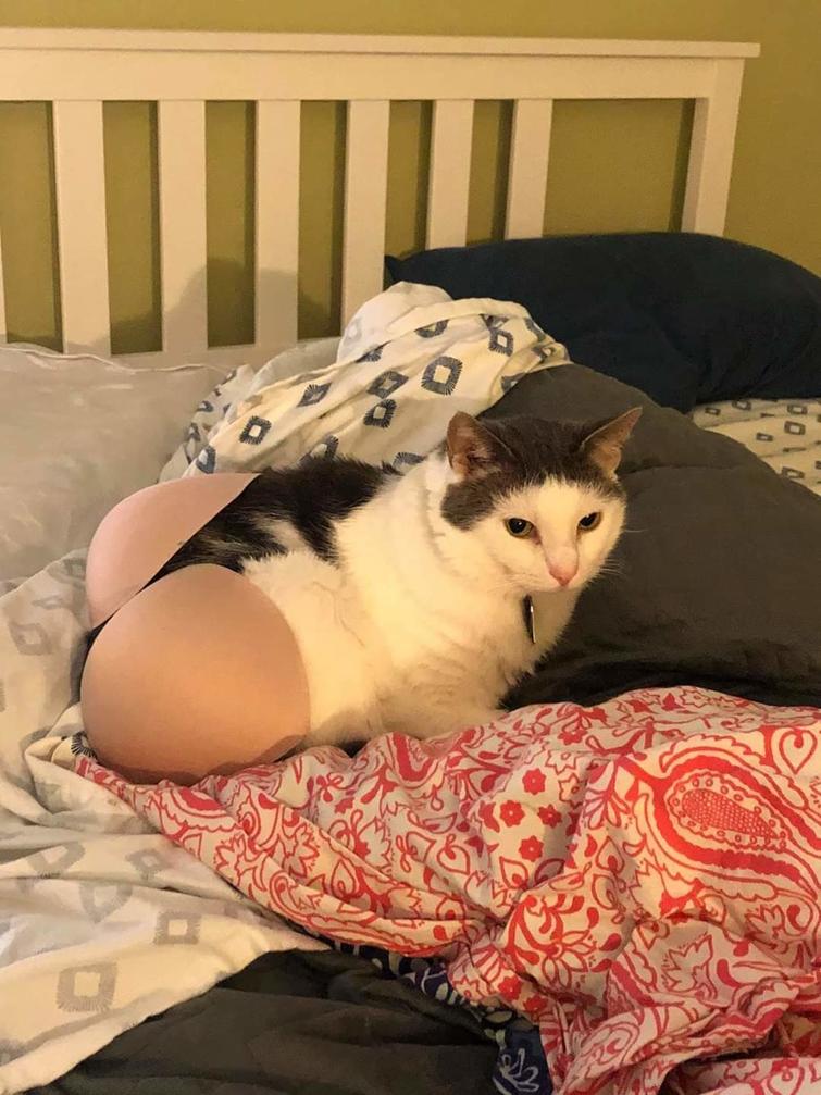 Фотографии, которые сломают вам мозг