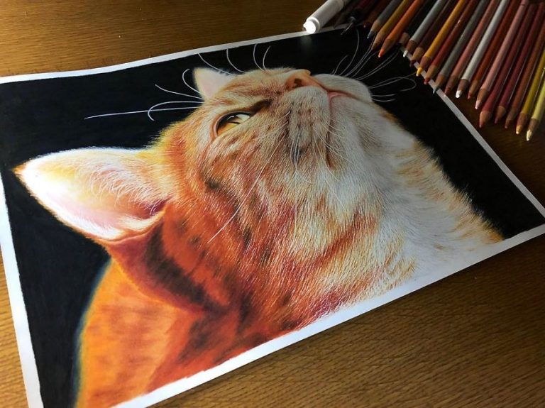 Невероятно детализированные картины котов: можно спутать с фотографиями