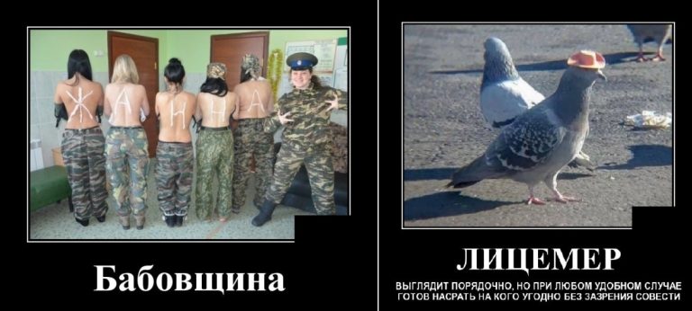 Демотиваторы вторника и бабовщина