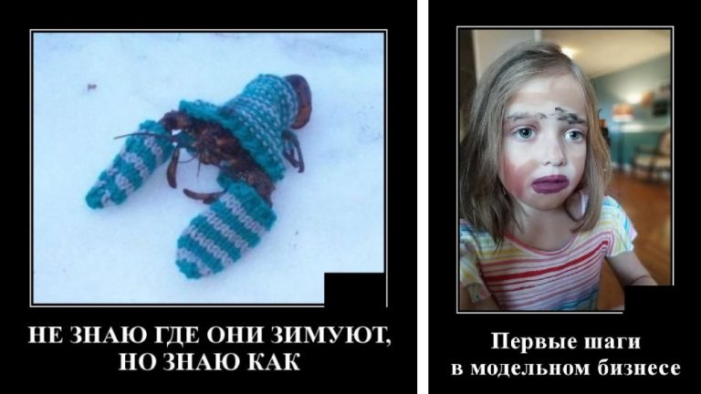 Демотиваторы в четверг и где раки зимуют