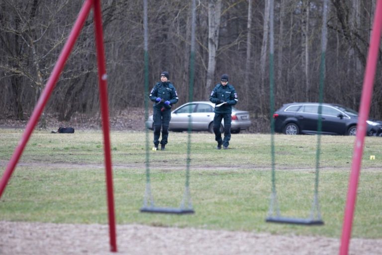 Дело о похищении девочки в Вильнюсе: рассказ мальчика-очевидца