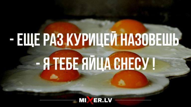 Анекдоты и юмор пятничные и снести яйца