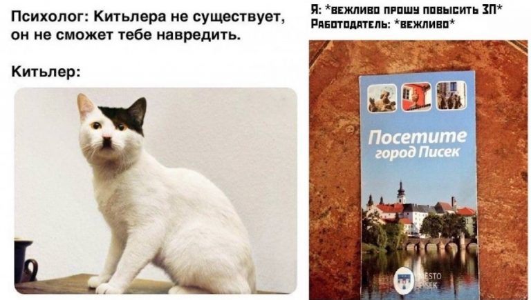 Прикольные картинки с надписями и Китьлер