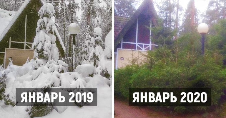 Шел пятый месяц осени: в соцсетях не перестают обсуждать аномальную зиму в России