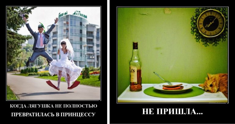 Демотиваторы в субботу и когда лягушка не превратилась в принцессу