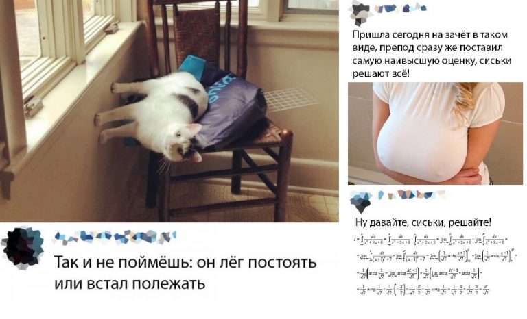 20 картинок, у которых самый сок скрыт в комментариях